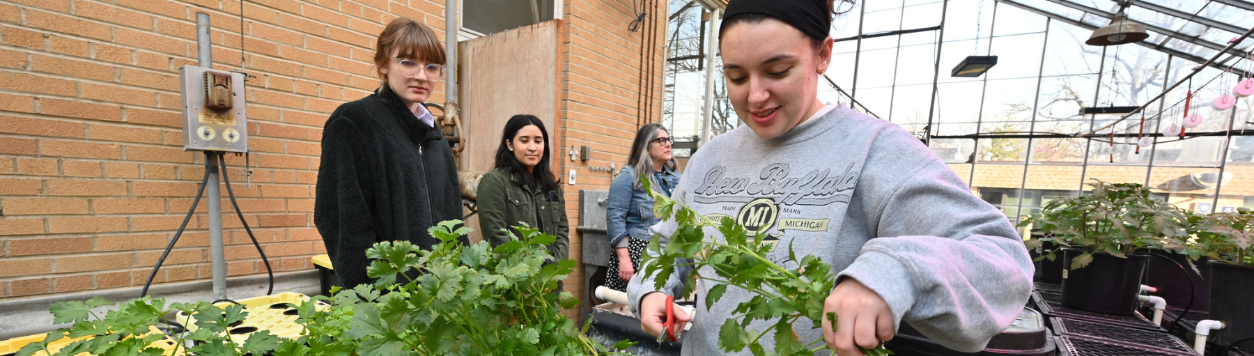 Students in greenhouse on campus