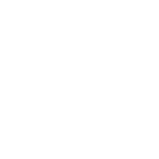 White line icon of globe