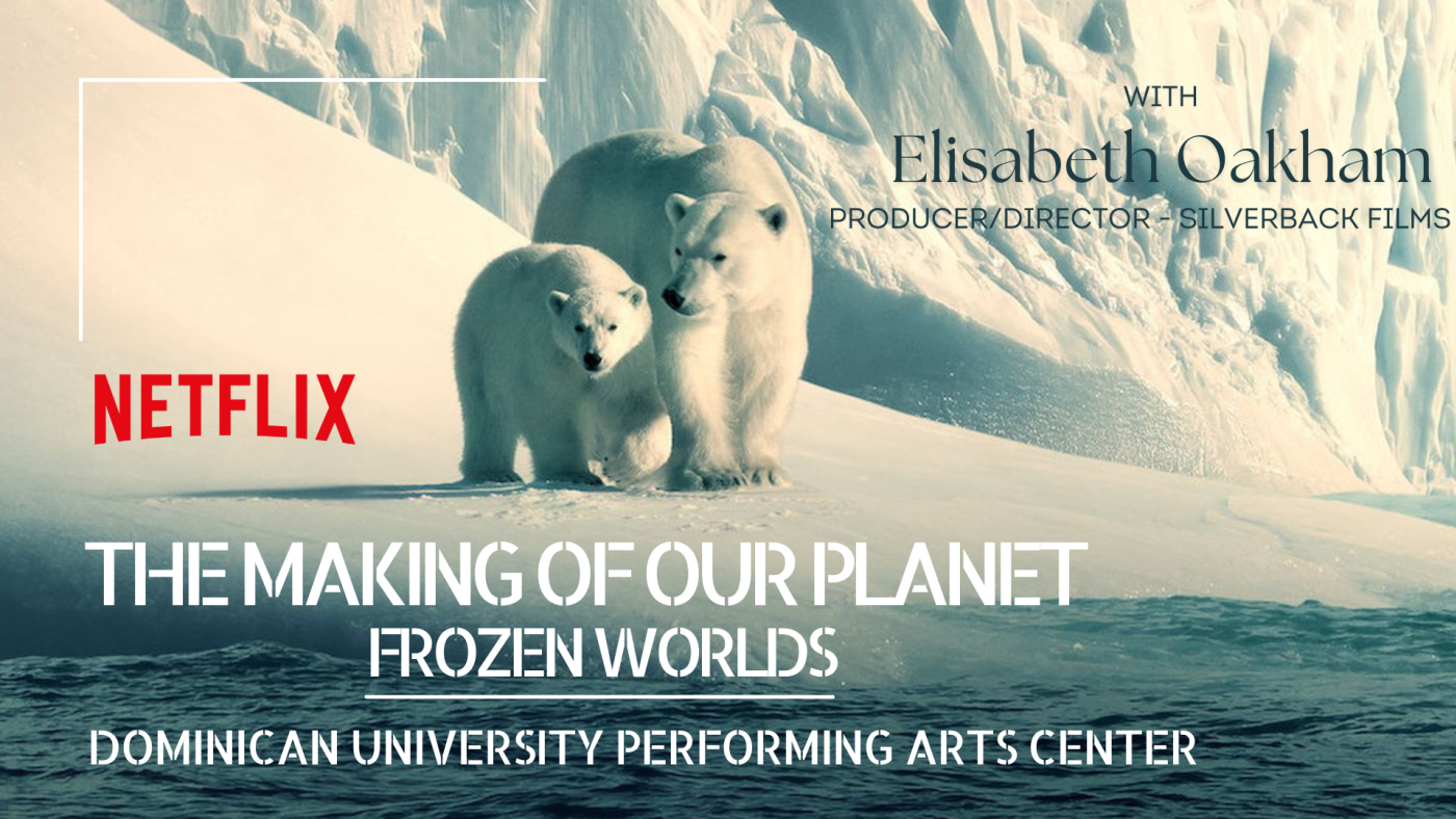 Two polar bears on the ice. Information for Frozen Worlds, a Netflix experience.