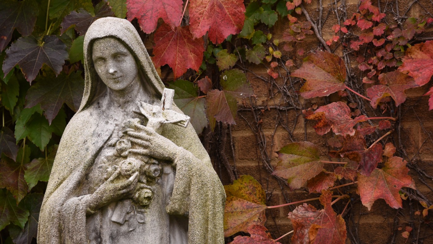 Statue with fall leaves