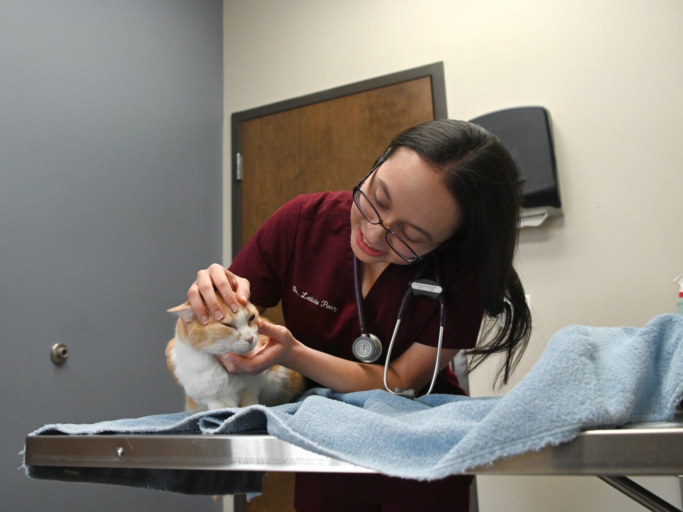 Veterinarian with Cat