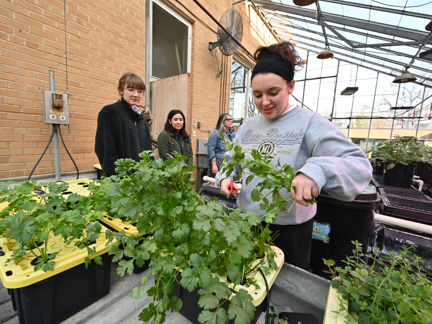 Students in greenhouse on campus