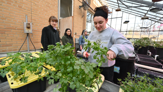 Students in greenhouse on campus
